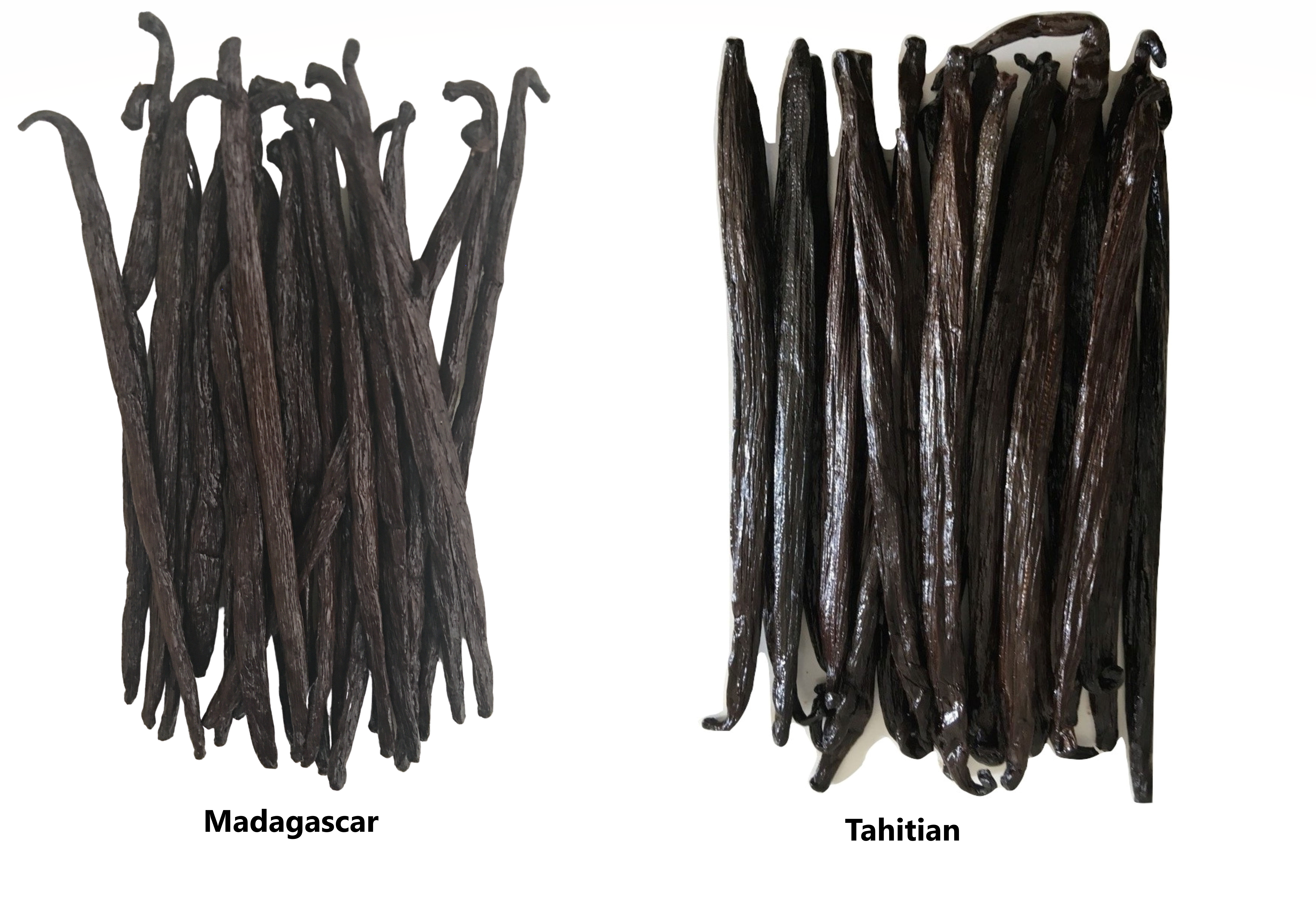 Vanilla Beans